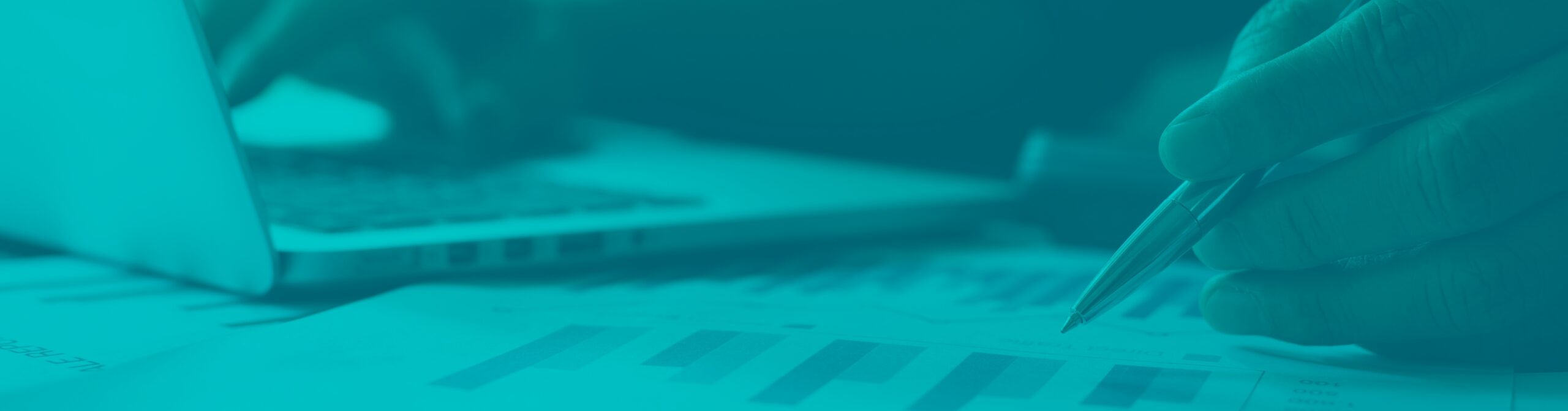 Audit & Gestion de parc